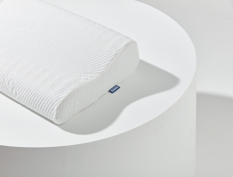 Ecosa Pillow V1 315 hero scaled
